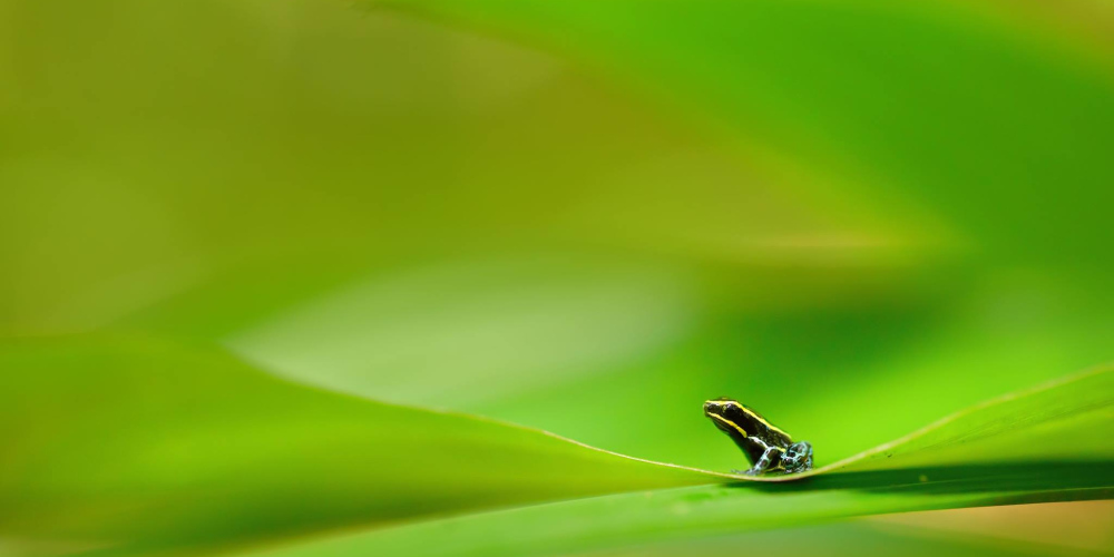 Výběr nejlepších fotografických snímků z prestižní fotosoutěže Czech Press Photo ve Valašském Meziříčí