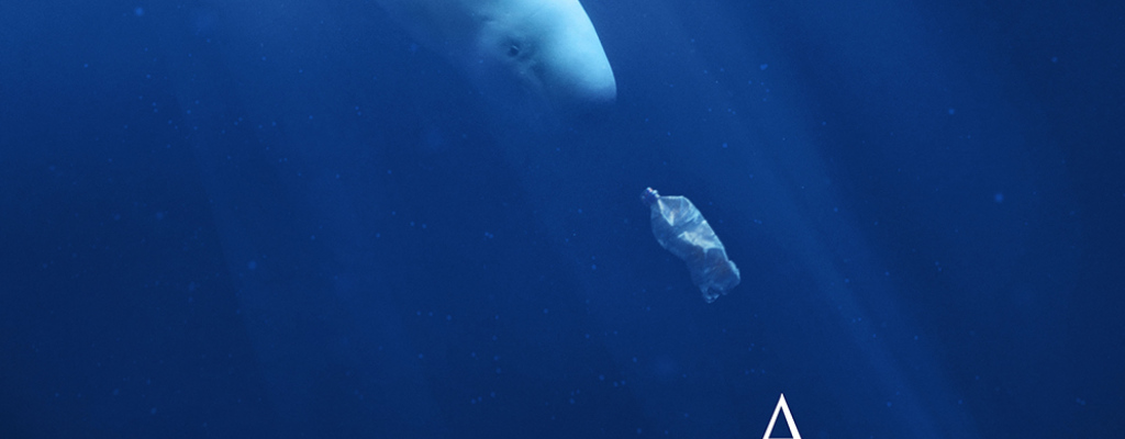 A Plastic Ocean